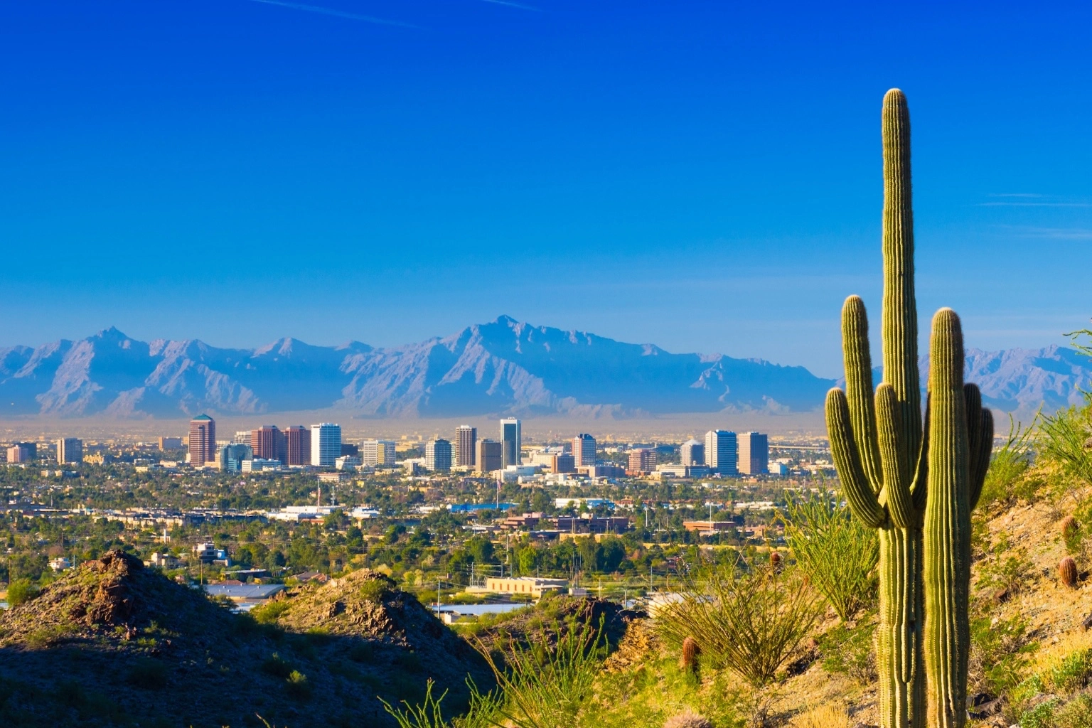 Find a mobile barber or hair stylist in Phoenix area