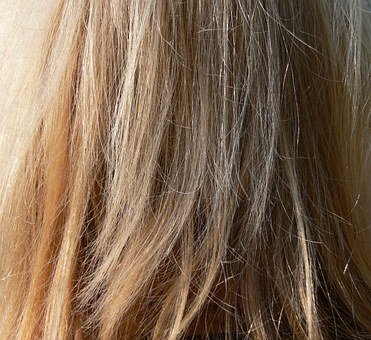 Hair Split Ends example